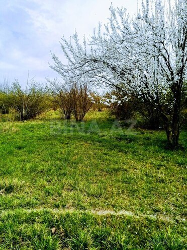 Продаётся 4-комн. дом/дача 295 м², Хачмазский р., photo 6 from 17