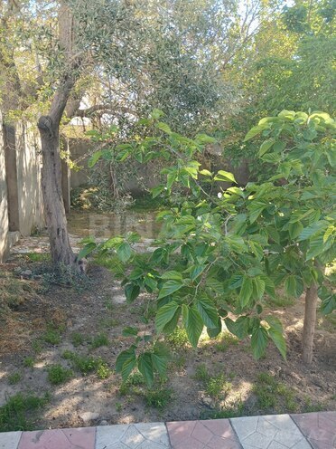 Продаётся  участок 4 сот, пос. Бадамдар, photo 5 from 7