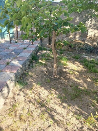Продаётся  участок 4 сот, пос. Бадамдар, photo 6 from 7
