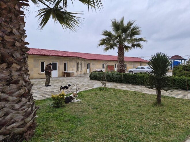 Satılır  obyekt 12 000 m², photo 20 from 26