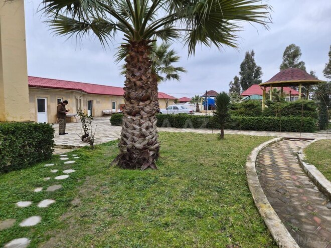 Satılır  obyekt 12 000 m², photo 6 from 26