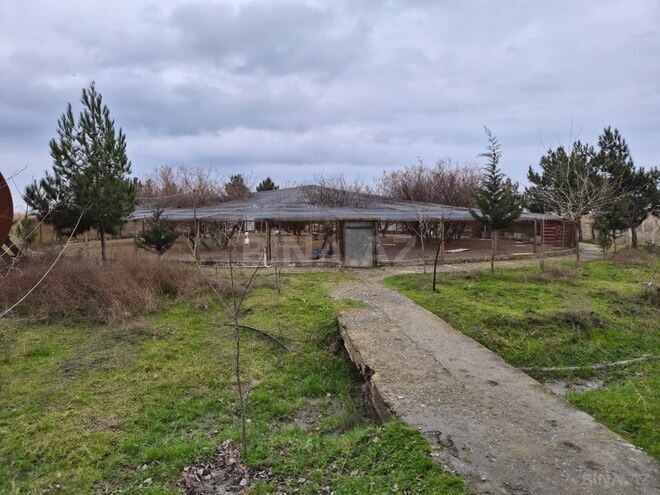 Satılır  obyekt 12 000 m², photo 17 from 26