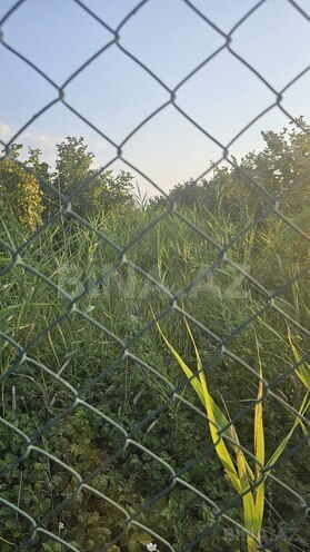 Продаётся  участок 0.5 сот, Хачмазский р., photo 3 from 5