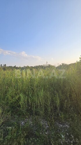 Продаётся  участок 0.5 сот, Хачмазский р., photo 1 from 5