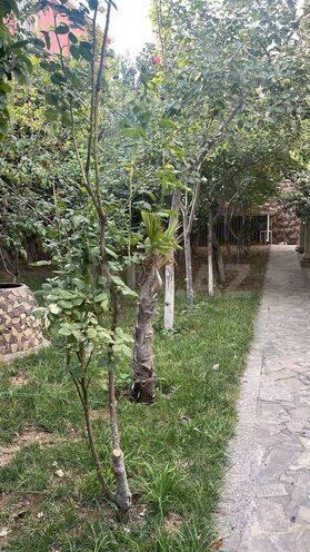 Satılır 9 otaqlı həyət evi/bağ evi 600 m², Nəsimi m., photo 13 from 15
