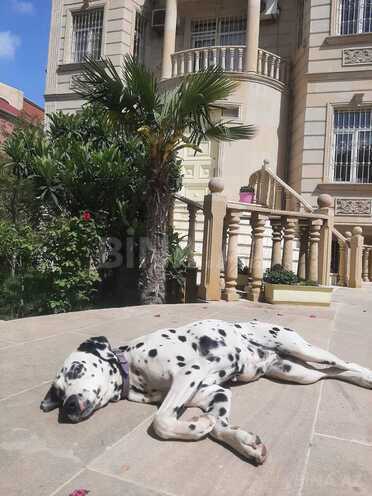Satılır 9 otaqlı həyət evi/bağ evi 600 m², Nəsimi m., photo 12 from 15