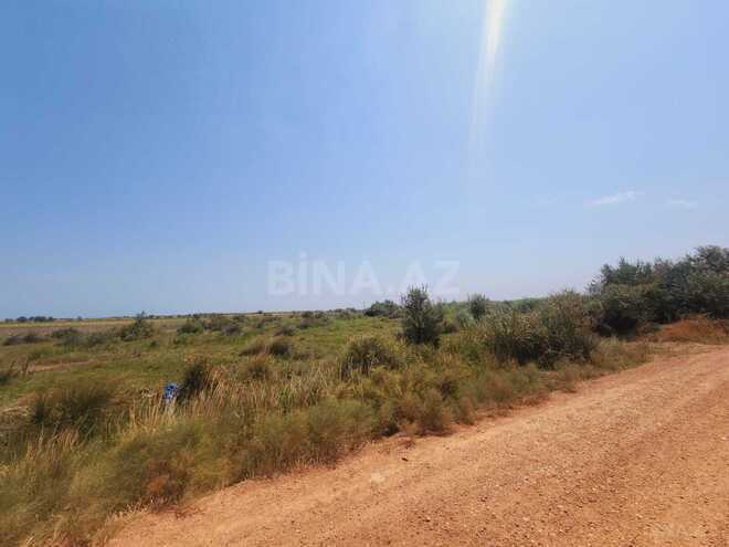 Продаётся  объект 2 000 м², Абшеронcкий  р., photo 4 from 12