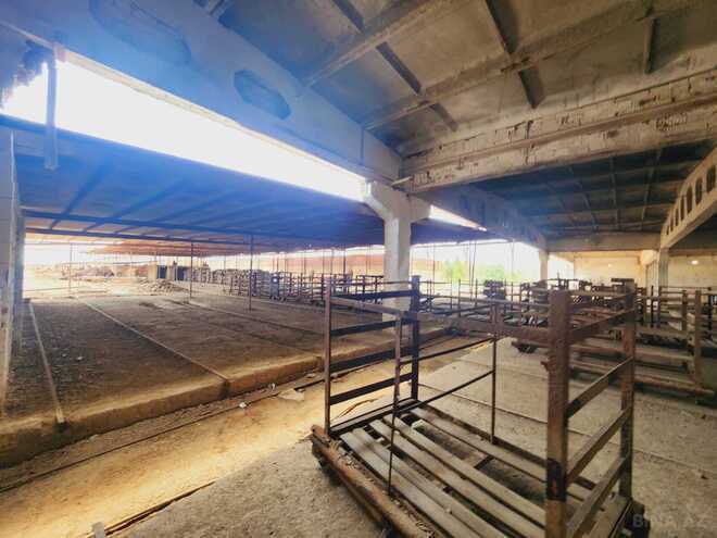 Продаётся  объект 2 000 м², Абшеронcкий  р., photo 11 from 12
