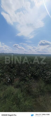 Продаётся  участок 257 сот, photo 11 from 31