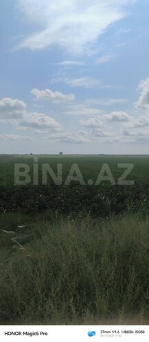 Продаётся  участок 257 сот, photo 18 from 31