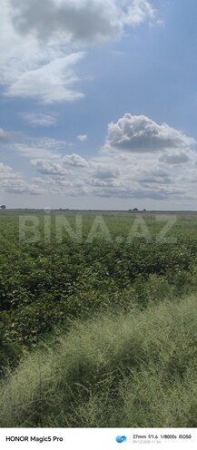 Продаётся  участок 257 сот, photo 1 from 31