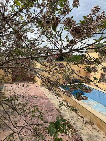 Satılır 14 otaqlı həyət evi/bağ evi 750 m², Novxanı q., photo 8 from 14