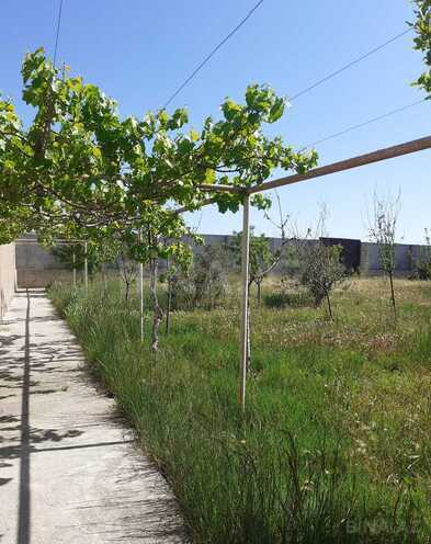 İcarəyə verilir 7 otaqlı həyət evi/bağ evi 400 m², Albalılıq q., photo 8 from 32