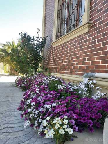İcarəyə verilir 7 otaqlı həyət evi/bağ evi 400 m², Albalılıq q., photo 1 from 32