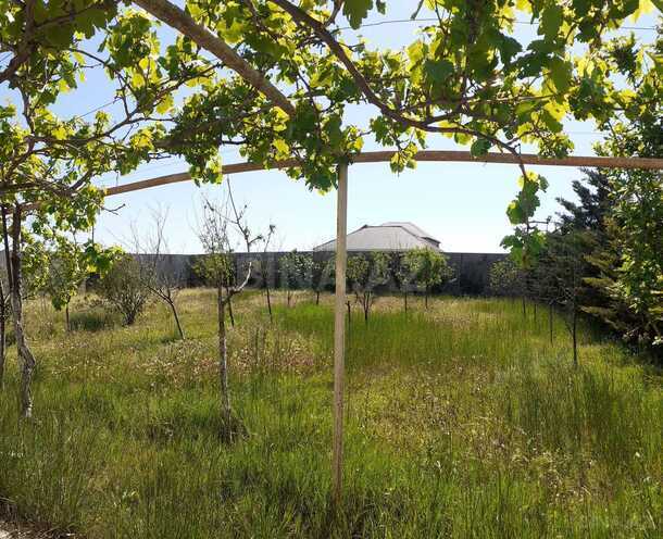 İcarəyə verilir 7 otaqlı həyət evi/bağ evi 400 m², Albalılıq q., photo 7 from 32