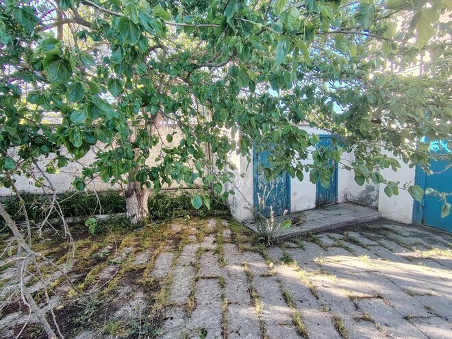 Продаётся 4-комн. дом/дача 150 м², пос. Вишнёвка, photo 6 from 12