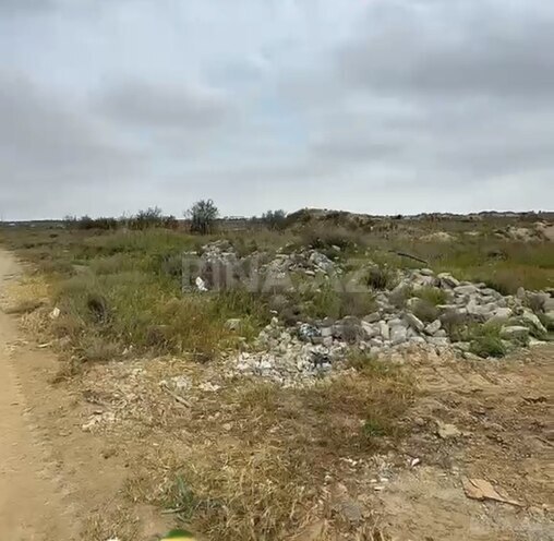Продаётся  участок 250 сот, пос. Гала, photo 3 from 5