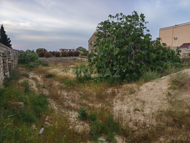 Продаётся  участок 8 сот, пос. Тюркан, photo 4 from 6
