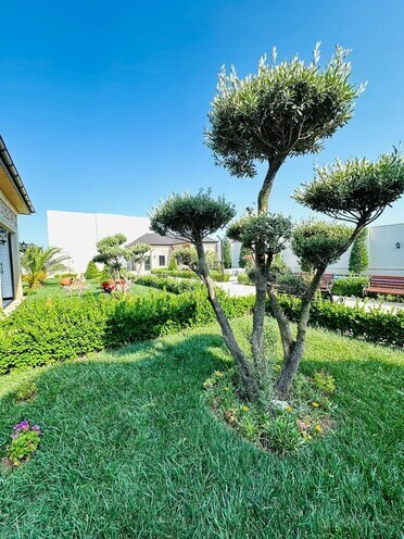 İcarəyə verilir 6 otaqlı həyət evi/bağ evi 500 m², Nardaran q., photo 23 from 25