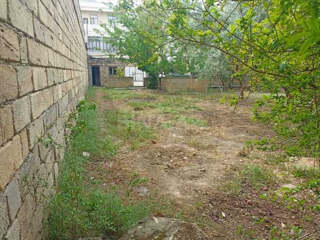 Satılır  torpaq 7.7 sot, Badamdar q., photo 4 from 6