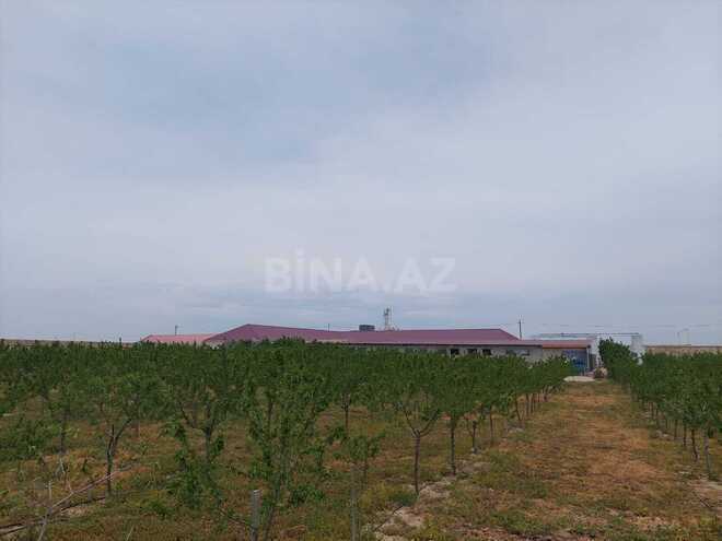 Satılır  obyekt 20 000 m², Türkan q., photo 19 from 30