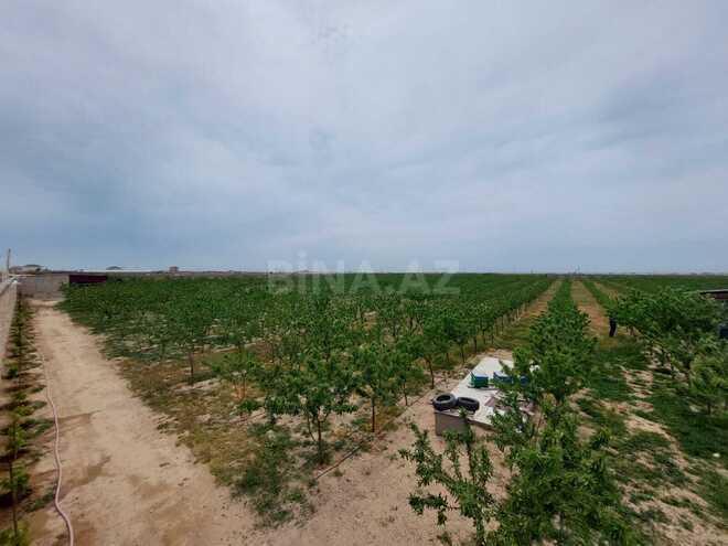 Satılır  obyekt 20 000 m², Türkan q., photo 3 from 30