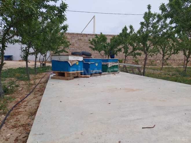 Satılır  obyekt 20 000 m², Türkan q., photo 21 from 30