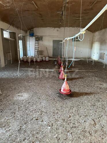 Satılır  obyekt 20 000 m², Türkan q., photo 15 from 30