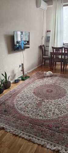 İcarəyə verilir 2 otaqlı yeni tikili 65 m², Qara Qarayev m., photo 5 from 17
