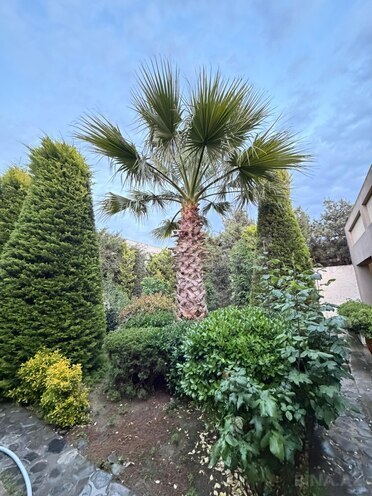 İcarəyə verilir 4 otaqlı həyət evi/bağ evi 220 m², Mərdəkan q., photo 1 from 32