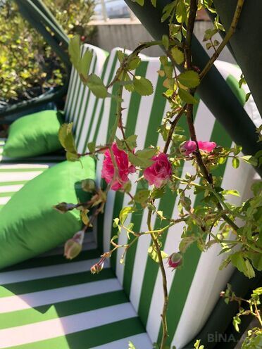 Satılır 3 otaqlı yeni tikili 130.5 m², 8 Noyabr m., photo 3 from 32