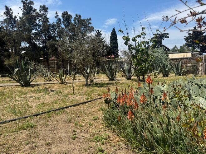 Satılır  torpaq 25 sot, Şüvəlan q., photo 26 from 28