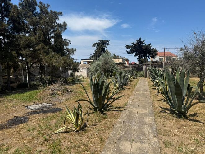 Satılır  torpaq 25 sot, Şüvəlan q., photo 8 from 28