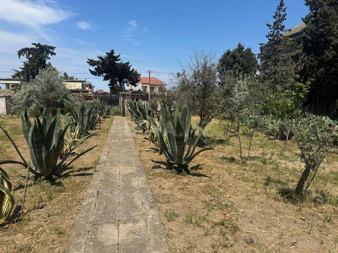 Satılır  torpaq 25 sot, Şüvəlan q., photo 21 from 28