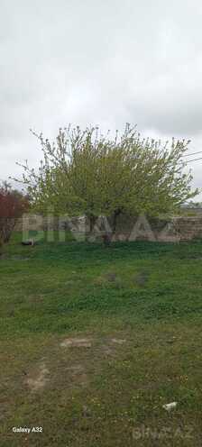 Satılır  torpaq 9 sot, Saray q., photo 1 from 13