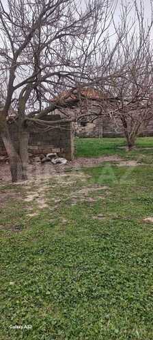 Satılır  torpaq 9 sot, Saray q., photo 9 from 13