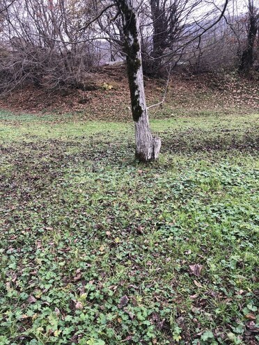 Продаётся  участок 10 сот, photo 7 from 11