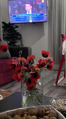 İcarəyə verilir 4 otaqlı həyət evi/bağ evi 95 m², Novxanı q., photo 19 from 21
