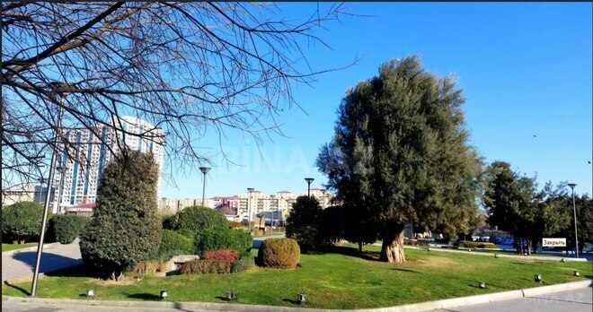 Продаётся 2-комн. вторичка 50.5 м², м. Элмляр Академиясы, photo 12 from 23