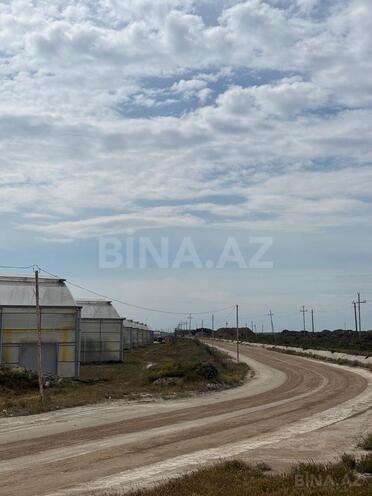 Satılır  torpaq 650 sot, Türkan q., photo 7 from 9