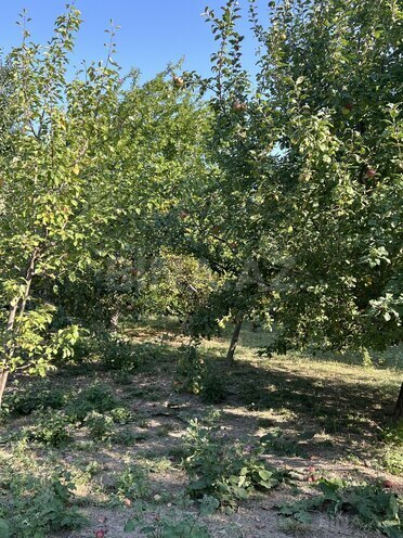 Продаётся  участок 5 сот, м. Гянджлик, photo 1 from 4