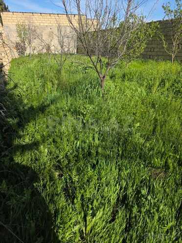 Satılır 3 otaqlı həyət evi/bağ evi 90 m², Novxanı q., photo 12 from 22