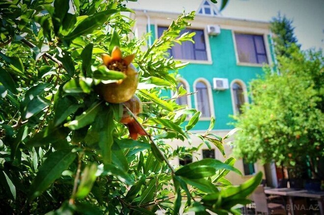 İcarəyə verilir 6 otaqlı həyət evi/bağ evi 600 m², Badamdar q., photo 19 from 27