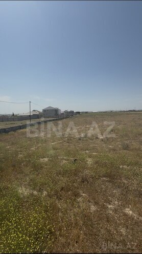 Продаётся  участок 300 сот, пос. Маштаги, photo 3 from 6