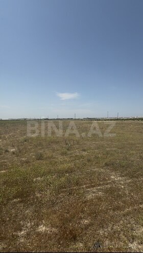 Продаётся  участок 300 сот, пос. Маштаги, photo 5 from 6