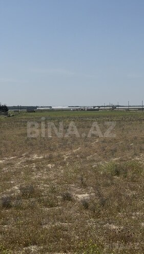 Продаётся  участок 300 сот, пос. Маштаги, photo 1 from 6