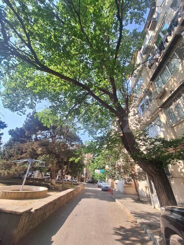 Сдаётся 2-комн. вторичка 50 м², м. Иншаатчылар, photo 13 from 14