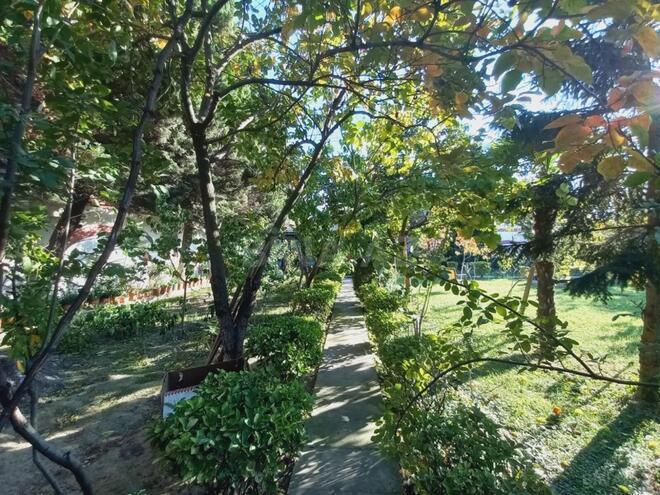 Satılır 6 otaqlı həyət evi/bağ evi 600 m², Novxanı q., photo 11 from 32