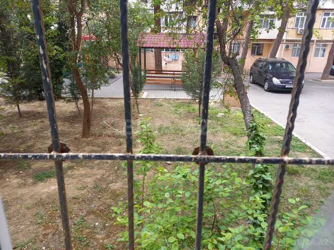 İcarəyə verilir 2 otaqlı köhnə tikili 60 m², Memar Əcəmi m., photo 8 from 15