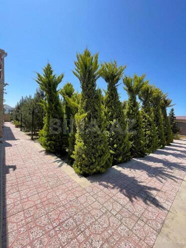 Satılır 6 otaqlı həyət evi/bağ evi 300 m², Nardaran q., photo 11 from 32